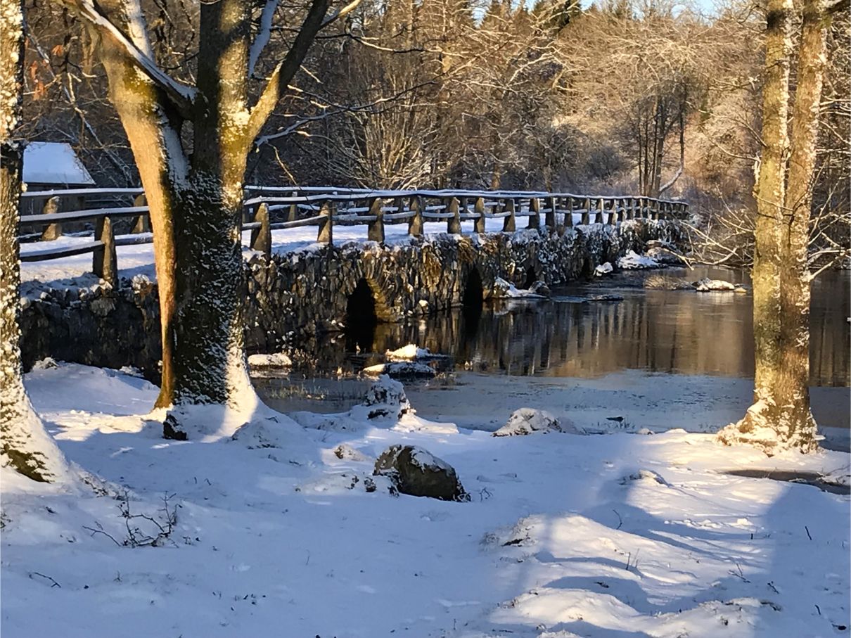 19 details bron vinter